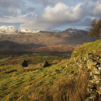 Buy canvas prints of Snow on the Moelwyn by Rory Trappe