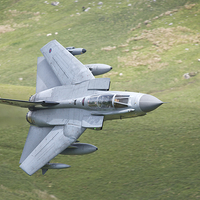 Buy canvas prints of 41 Squadron Tornado by Rory Trappe