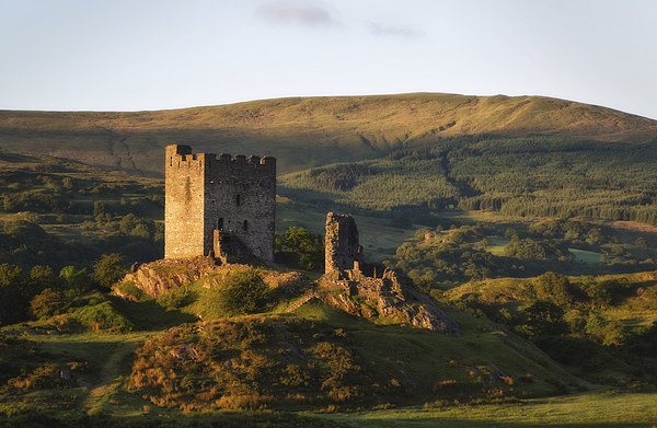 Dolwyddelan castle Picture Board by Rory Trappe