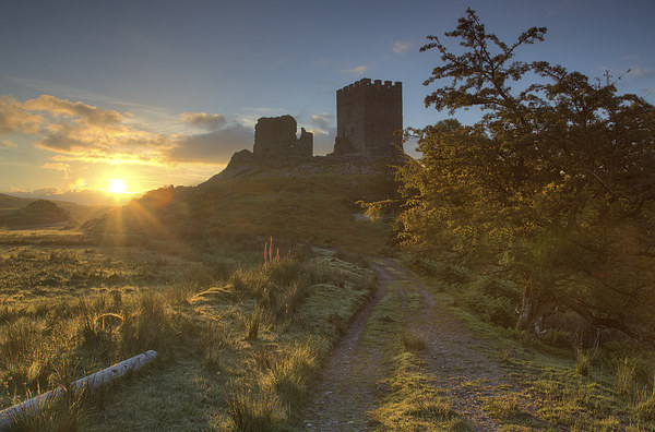 Dolwyddelan sunrise Picture Board by Rory Trappe