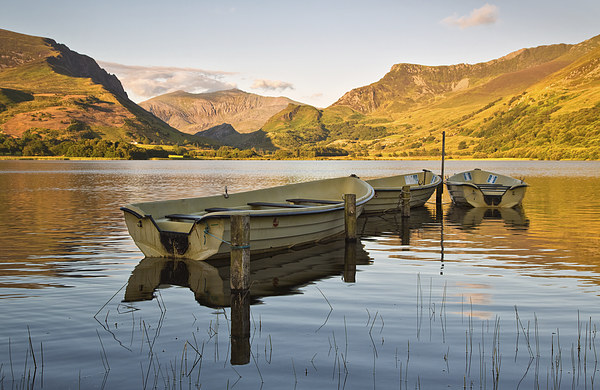 Llyn Nantlle Picture Board by Rory Trappe