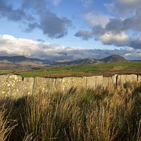 Buy canvas prints of  The Moelwyn Range by Rory Trappe