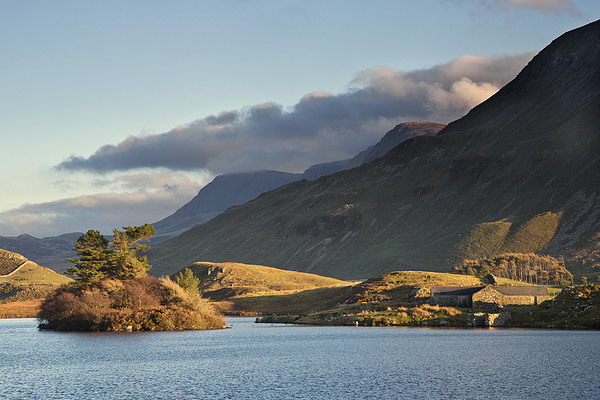  Creggenen lake and Cader Idris Picture Board by Rory Trappe