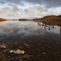 Buy canvas prints of  Llyn Morwynion   by Rory Trappe