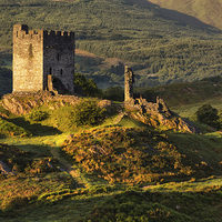 Buy canvas prints of  Dolwyddelan castle by Rory Trappe