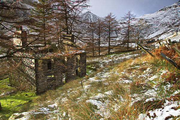  Plas Cwmorthin Picture Board by Rory Trappe