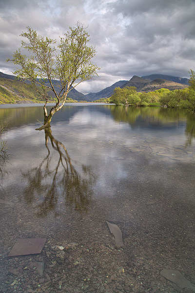  Llyn Padarn Picture Board by Rory Trappe