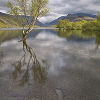 Buy canvas prints of  Llyn Padarn by Rory Trappe