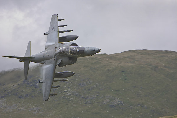 RAF Harrier Picture Board by Rory Trappe