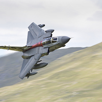 Buy canvas prints of  RAF Tornado - 40 Year Special by Rory Trappe