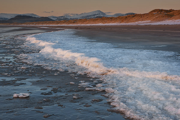  Ice on Harlech beach Picture Board by Rory Trappe