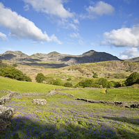 Buy canvas prints of  Moelwyn range by Rory Trappe
