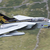Buy canvas prints of  31 Squadron Goldstar RAF Tornado Gr4 by Rory Trappe