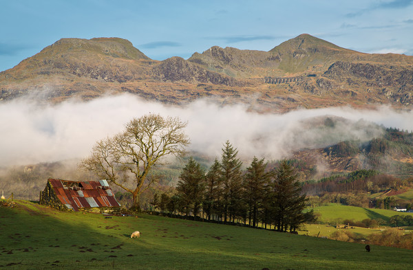 The Moelwyn range from the Bwlch road Picture Board by Rory Trappe