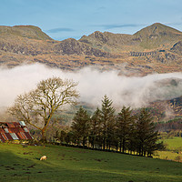 Buy canvas prints of The Moelwyn range from the Bwlch road by Rory Trappe