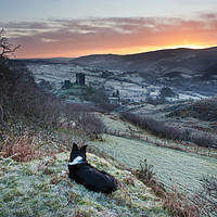 Buy canvas prints of Gelert watching the sunrise by Rory Trappe