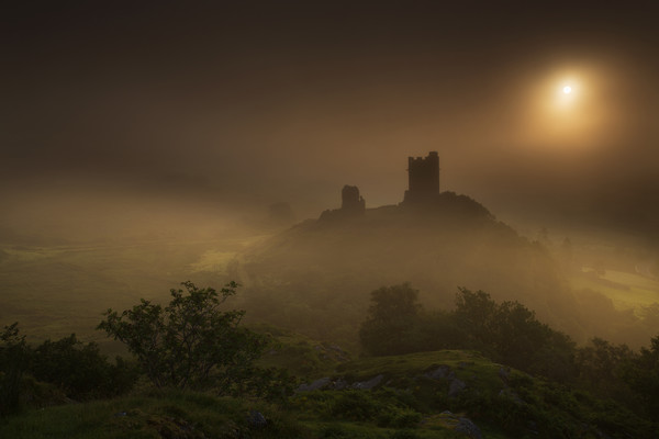 Dolwyddelan castle in the mist Picture Board by Rory Trappe