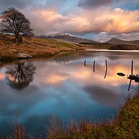 Buy canvas prints of Llyn y Dywarchen by Rory Trappe