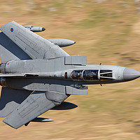 Buy canvas prints of RAF Tornado by Rory Trappe