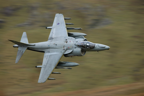 RAF Harrier GR9A Picture Board by Rory Trappe