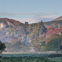 Buy canvas prints of Dolwyddelan in the autumn by Rory Trappe