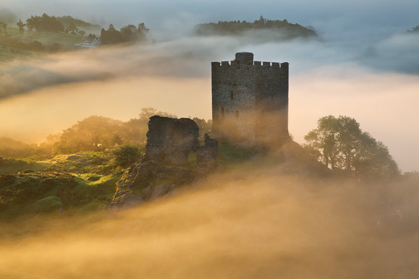 Dolwyddelan castle surrounded in mist Picture Board by Rory Trappe