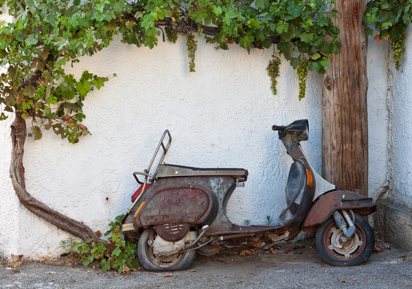 Abandoned Moped Picture Board by Rory Trappe