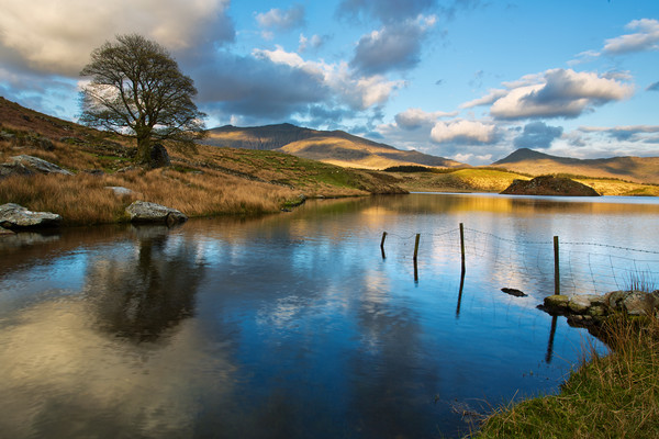 Llyn Dywarchen Picture Board by Rory Trappe