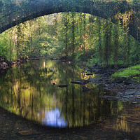 Buy canvas prints of Rainforest bridge by Rory Trappe