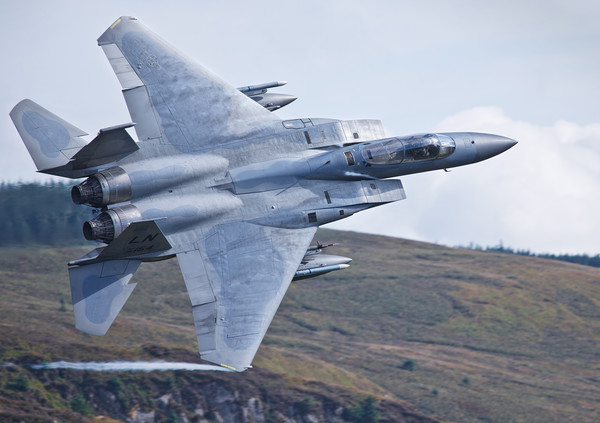 McDonnell Douglas F-15 Eagle Picture Board by Rory Trappe