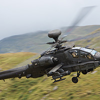 Buy canvas prints of Army Air Corp - Apache by Rory Trappe