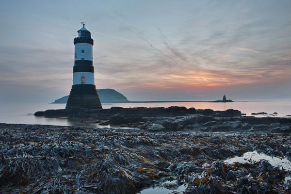 Penmon lighthouse Picture Board by Rory Trappe