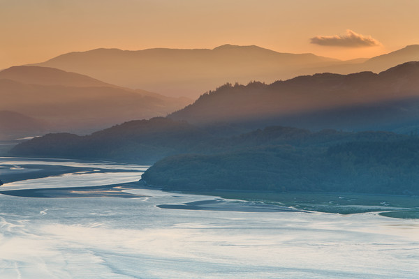 Mawddach Estuary Picture Board by Rory Trappe