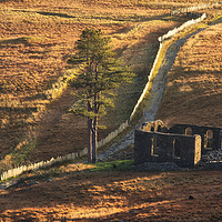 Buy canvas prints of Cwm Orthin Chapel by Rory Trappe