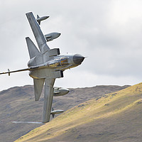 Buy canvas prints of RAF Tornado Gr4 by Rory Trappe