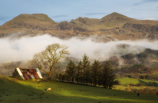 Welsh barn at Llan Ffestiniog Picture Board by Rory Trappe