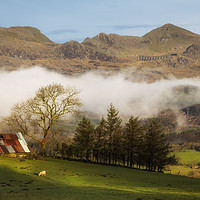 Buy canvas prints of Welsh barn at Llan Ffestiniog by Rory Trappe