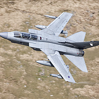 Buy canvas prints of Raf Tornado Gr4 Low Level by Rory Trappe