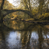 Buy canvas prints of Packhorse bridge - Maentwrog by Rory Trappe