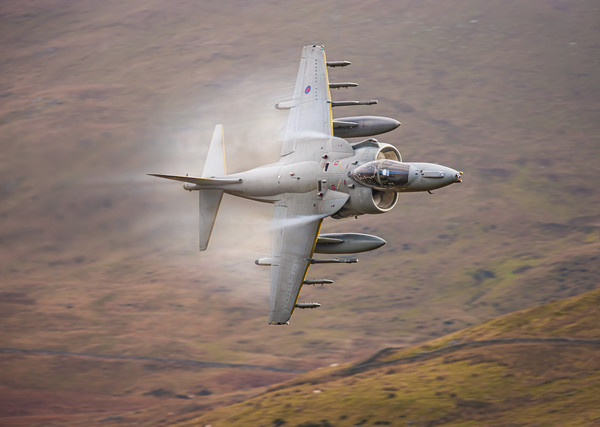 RAF Harrier Picture Board by Rory Trappe