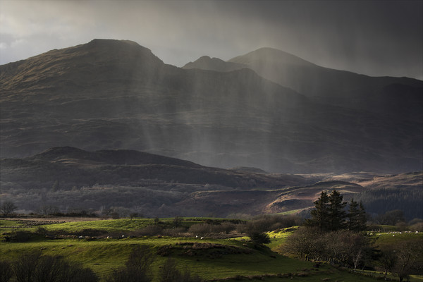 Rain shower over the Moelwyn range Picture Board by Rory Trappe