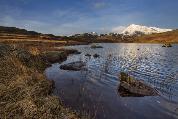 Snowdon from Llyn Cwmffynnon Picture Board by Rory Trappe