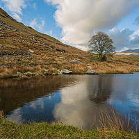 Buy canvas prints of Llyn y Dywarchen by Rory Trappe