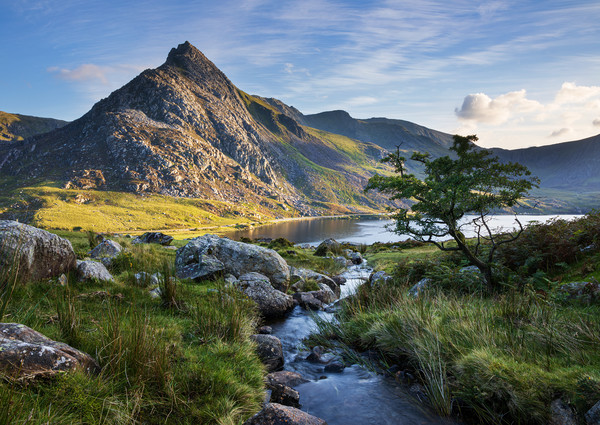 Tryfan Picture Board by Rory Trappe