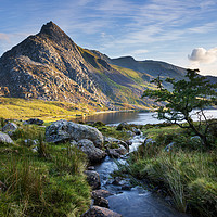 Buy canvas prints of Tryfan by Rory Trappe