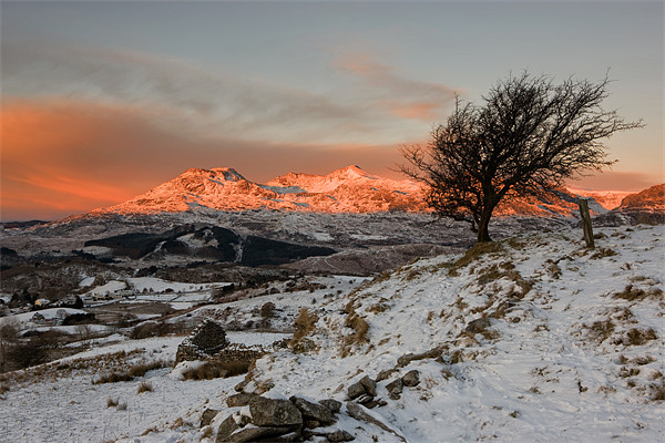 Sunrise over the Moelwyn range Picture Board by Rory Trappe