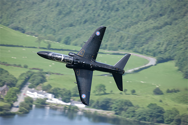 Hawk over Tal y Llyn Picture Board by Rory Trappe