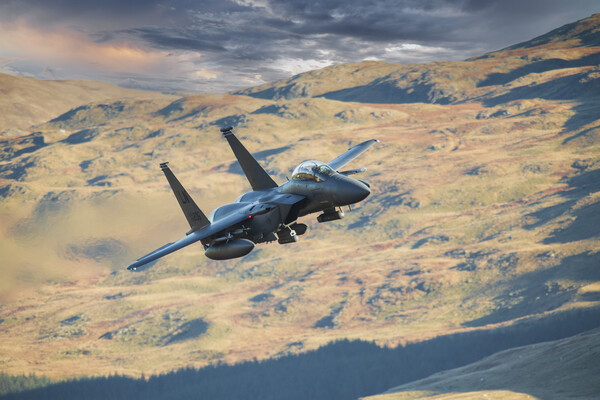 F15 Eagle Picture Board by Rory Trappe