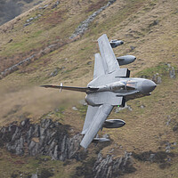 Buy canvas prints of RAF Tornado Gr4 Wings Swept by Rory Trappe