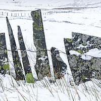 Buy canvas prints of Slate fence by Rory Trappe